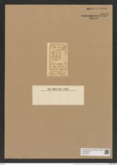 Hemiaulus capitatus Grev. (de-Toni-Nr.: Genus 117, Species 3377) Zeichnungen Sammlung Grunow Nr. 6792 (NHMW-BOT-W0375631)